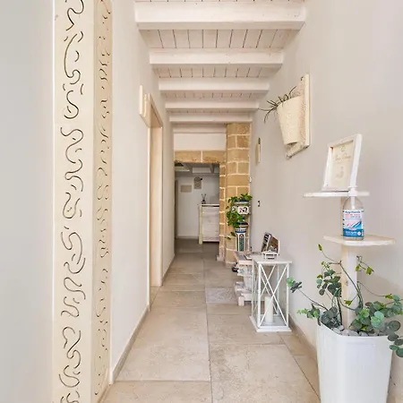Clara Domus 3*