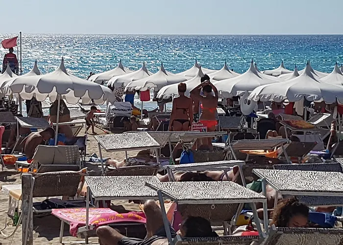 Clara Domus Gallipoli